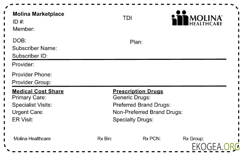 Carte d'assurance maladie USA Molina HealthCare